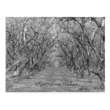 Tyee Hazelnuts Postcard