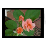 Tyler Roses Card