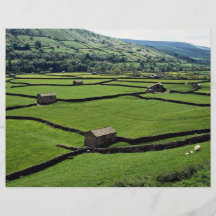 Typical barns and walls, Britain Europe Personalized Flyer