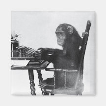 Typing Monkey Fridge Magnets
