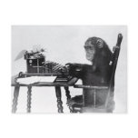 Typing Monkey postcards