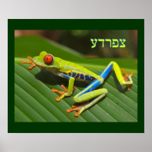 Tzefardea In Hebrew Meaning "Frog" Print