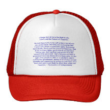 !!! U Create Declaration of Independence Mesh Hats