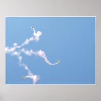 U.S. Army Parachute Team "Golden Knights". Posters