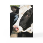 Udderly Happy Birthday Greeting Cards