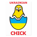 Ukrainian Chick Postcards