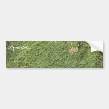 Ulak Island Bumper Stickers