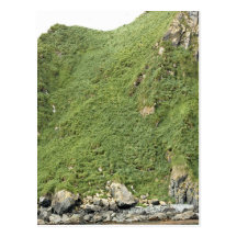 Ulak Island Postcards