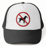 Ultimate Frisbee Hat