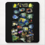 Ultimate ReefFish Mousepad
