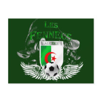 Ultra Cool Les Fennecs Algerie Postcards