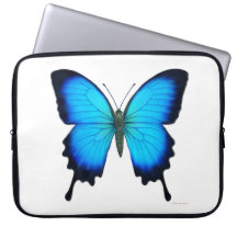 Ulysses Swallowtail Butterfly Electronics Bag Laptop Sleeve
