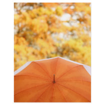 Umbrella and Autumn Colours