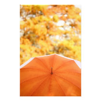Umbrella and Autumn Colours