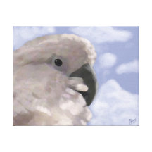 Umbrella Cockatoo Canvas Prints