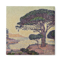 Umbrella Pines at Caroubiers, 1898 magnets