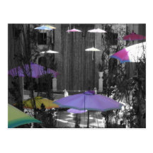 Umbrella Postcard