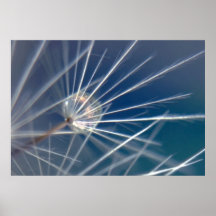 Umbrella Poster