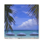 umbrellas on beach, St. Maarten, Caribbean