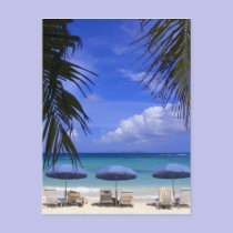 umbrellas on beach, St. Maarten, Caribbean postcards