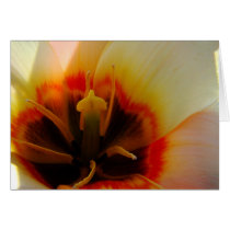 Umile Greeting Cards
