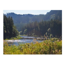 Umpqua River Artwork Postcards