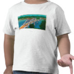 Umpqua River Bridge in Reedsport, Oregon Tshirt