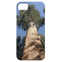 Un arbre de séquoia géant protège votre téléphone coques iPhone 5