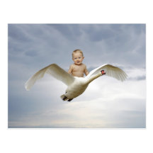 Un bébé et le ciel de cygne cartes postales