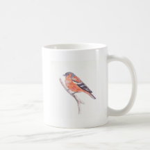 Un Chaffinch. Tasse À Café