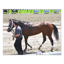 Un champion "rêvant de Julia " Tirages Photo