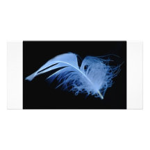 Un chuchotement d'une plume modèle pour photocarte