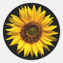 Un grand tournesol jaune adhésifs ronds