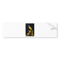 Un Momento Intenso del Flamenco Bumper Sticker