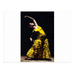 Un Momento Intenso del Flamenco Post Card