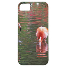 Un morceau du paradis flamant rose coque iPhone 5