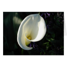 Un muguet carte de vœux