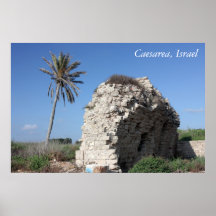 Un mur antique avec un palmier, Césarée, Israël Affiches