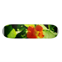 Un nasturce orange plateaux de planche à roulettes