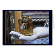 Un oiseau dans une cage cartes