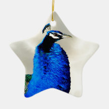 Un paon fier décoration de noël