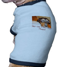 Un plus festin tee-shirt pour toutou