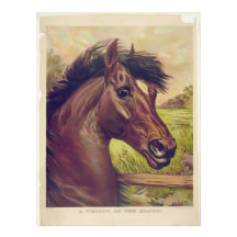 Un prince du sang par Currier et la tête de cheval Impression Photographique