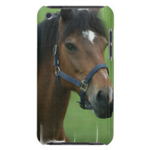 undefined iPod touch cover