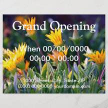 undefined full color flyer