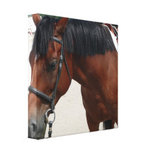 undefined gallery wrapped canvas
