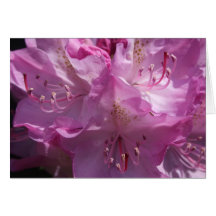undefined greeting cards