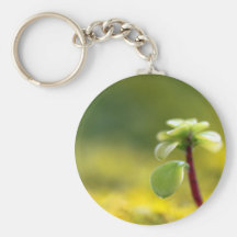 undefined key chains