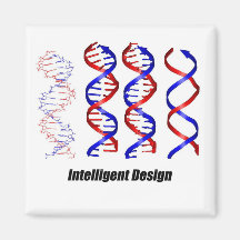 undefined magnet