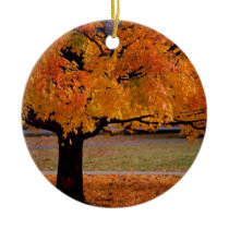 undefined christmas ornament